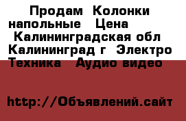 Продам  Колонки напольные › Цена ­ 3 000 - Калининградская обл., Калининград г. Электро-Техника » Аудио-видео   